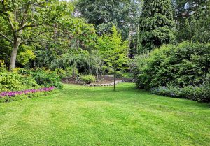 Optimiser l'expérience du jardin à Saint-Sernin-du-Plain